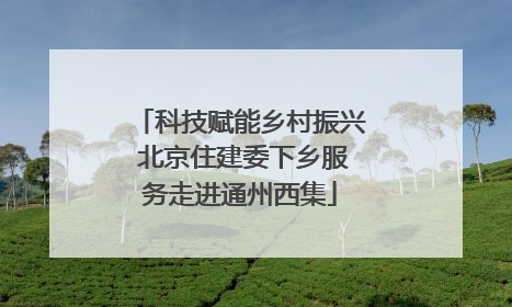 科技赋能乡村振兴 北京住建委下乡服务走进通州西集