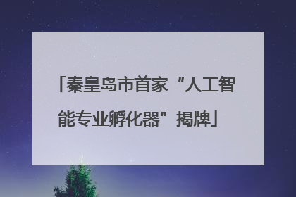 秦皇岛市首家“人工智能专业孵化器”揭牌