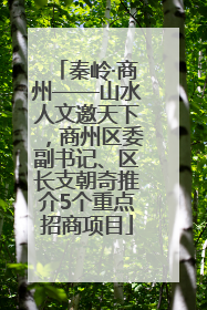 秦岭·商州——山水人文邀天下，商州区委副书记、区长支朝奇推介5个重点招商项目