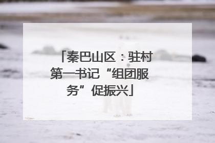 秦巴山区：驻村第一书记“组团服务”促振兴