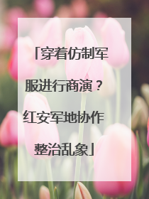 穿着仿制军服进行商演？红安军地协作整治乱象