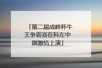 第二届成峰杯牛王争霸赛在科左中旗激情上演