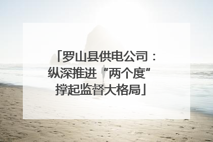 罗山县供电公司：纵深推进“两个度” 撑起监督大格局