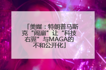 美媒：特朗普马斯克“闹崩”让“科技右翼”与MAGA的不和公开化