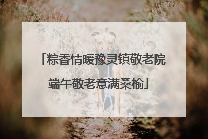 粽香情暖豫灵镇敬老院 端午敬老意满桑榆