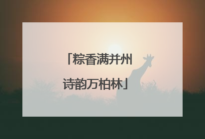 粽香满并州 诗韵万柏林