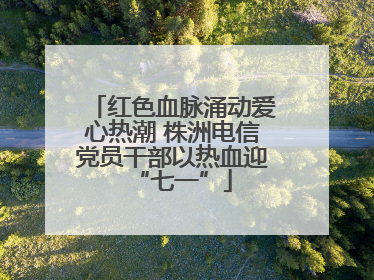红色血脉涌动爱心热潮 株洲电信党员干部以热血迎“七一”