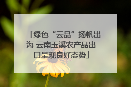 绿色“云品”扬帆出海 云南玉溪农产品出口呈现良好态势