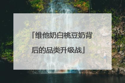 维他奶白桃豆奶背后的品类升级战