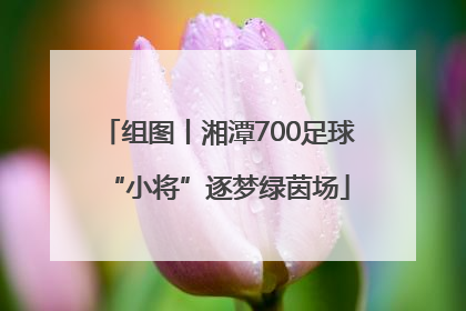 组图丨湘潭700足球“小将”逐梦绿茵场