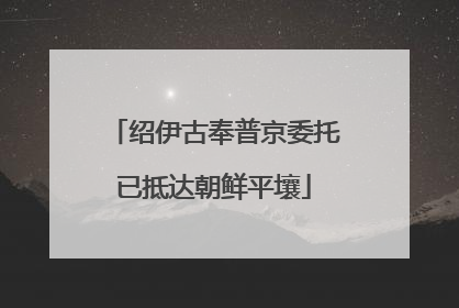绍伊古奉普京委托已抵达朝鲜平壤