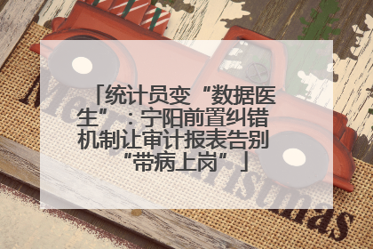 统计员变“数据医生”：宁阳前置纠错机制让审计报表告别“带病上岗”