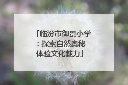 临汾市御景小学：探索自然奥秘 体验文化魅力
