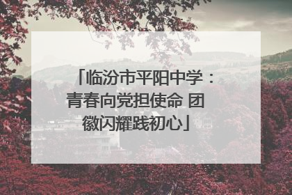 临汾市平阳中学：青春向党担使命 团徽闪耀践初心
