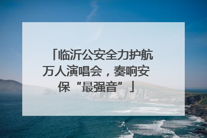 临沂公安全力护航万人演唱会，奏响安保“最强音”