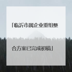 临沂市属企业重组整合方案已完成初稿