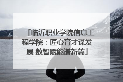 临沂职业学院信息工程学院：匠心育才谋发展 数智赋能谱新篇