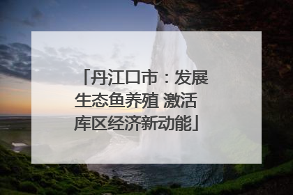 丹江口市：发展生态鱼养殖 激活库区经济新动能