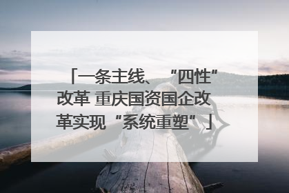 一条主线、“四性”改革 重庆国资国企改革实现“系统重塑”