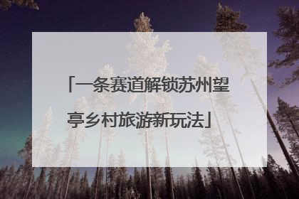 一条赛道解锁苏州望亭乡村旅游新玩法