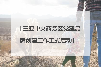 三亚中央商务区党建品牌创建工作正式启动