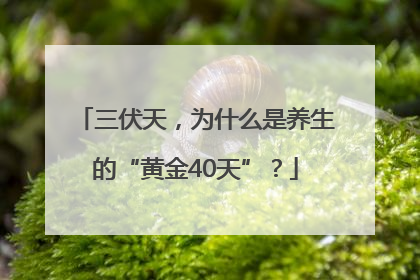 三伏天，为什么是养生的“黄金40天”？