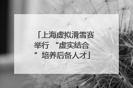 上海虚拟滑雪赛举行 “虚实结合”培养后备人才