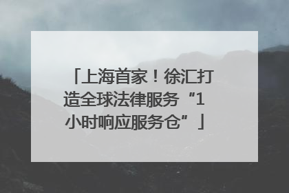 上海首家！徐汇打造全球法律服务“1小时响应服务仓”