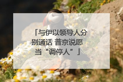 与伊以领导人分别通话 普京说愿当“调停人”