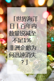 世界海洋日丨百年内数量锐减至不足1% 非洲企鹅为何迅速消失？