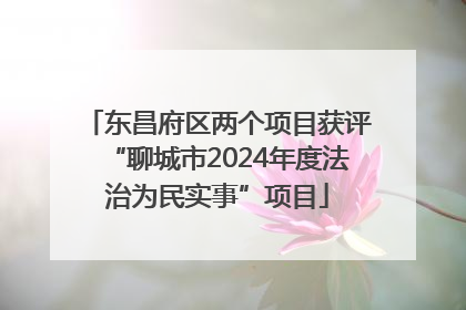 东昌府区两个项目获评“聊城市2024年度法治为民实事”项目