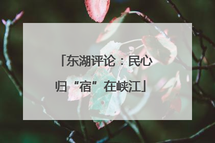东湖评论：民心归“宿”在峡江