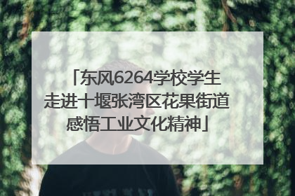 东风6264学校学生走进十堰张湾区花果街道感悟工业文化精神