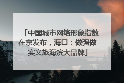 中国城市网络形象指数在京发布，海口：做强做实文旅海滨大品牌
