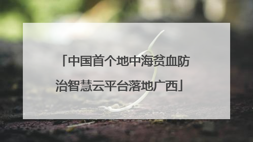 中国首个地中海贫血防治智慧云平台落地广西