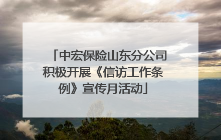 中宏保险山东分公司积极开展《信访工作条例》宣传月活动