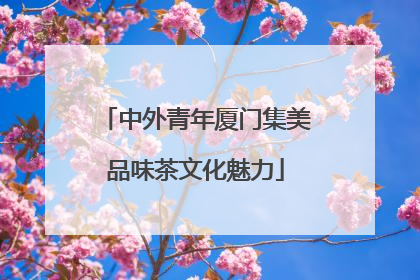 中外青年厦门集美品味茶文化魅力