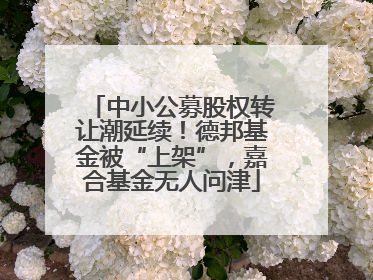 中小公募股权转让潮延续！德邦基金被“上架”，嘉合基金无人问津