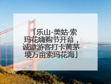 乐山-美姑·索玛花嗨购节开幕，诚邀游客打卡黄茅埂万亩索玛花海