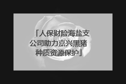 人保财险海盐支公司助力嘉兴黑猪种质资源保护