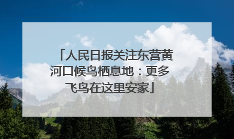 人民日报关注东营黄河口候鸟栖息地：更多飞鸟在这里安家