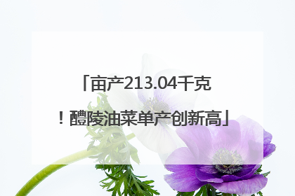 亩产213.04千克！醴陵油菜单产创新高