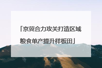 京冀合力攻关打造区域粮食单产提升样板田