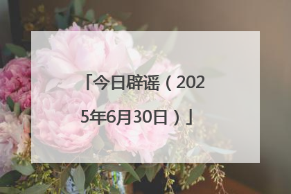 今日辟谣（2025年6月30日）