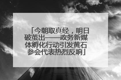 今朝取真经，明日破茧出——政务新媒体孵化行动引发黄石参会代表热烈反响
