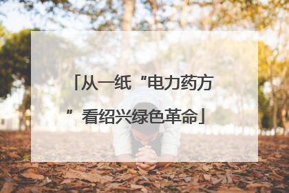 从一纸“电力药方”看绍兴绿色革命