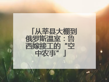 从莘县大棚到俄罗斯温室：鲁西嫁接工的“空中农事”