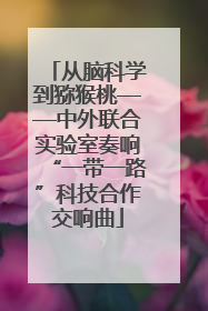 从脑科学到猕猴桃——中外联合实验室奏响“一带一路”科技合作交响曲
