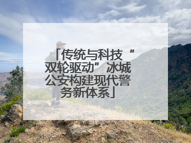 传统与科技“双轮驱动”冰城公安构建现代警务新体系