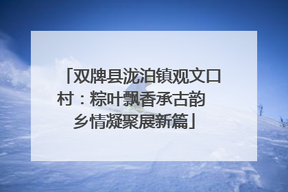 双牌县泷泊镇观文口村：粽叶飘香承古韵 乡情凝聚展新篇